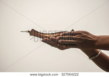 Image Of The Hands Of A Young Man Praying In The Morning Holding Kosha Kushi. Kosha Kushi Is Used To