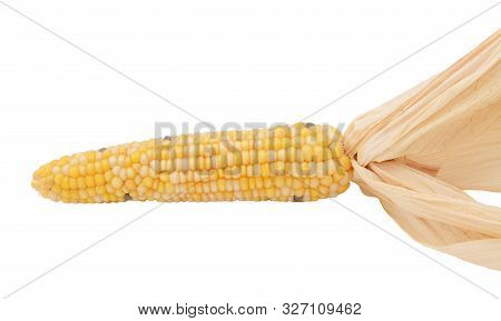 Decorative Flint Corn With Yellow, White And Black Niblets On The Cob And Dried Husks, On A White Ba