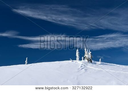 Beautiful Winter Or Christmas Snowy Landscape With Snow Covered Fir Trees And Strange Clouds. Trees 