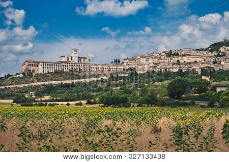 Photo Of Assissi With Sunflowers And The Blue Sky With Clouds