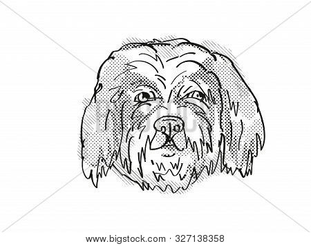 Retro Cartoon Style Drawing Of Head Of A Cavachon, A Domestic Dog Or Canine Breed On Isolated White 