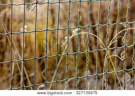 The Fence Net Covered With Frost, Close