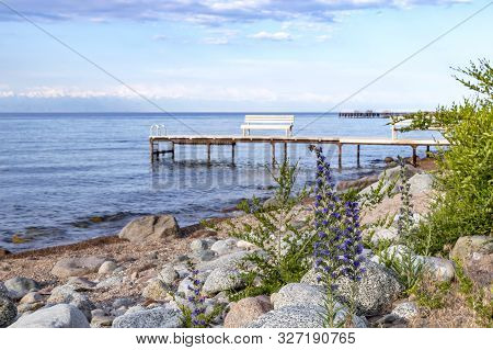 Issyk-kul Lake With Echium Vulgare Flowers On A Rocky Beach And Mountains With Snow-capped Peaks On 