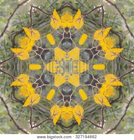 Golden Autumn With Leaves Flying In Mandala