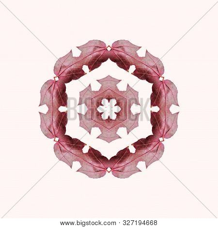 Golden Autumn With Leaves Flying In Mandala