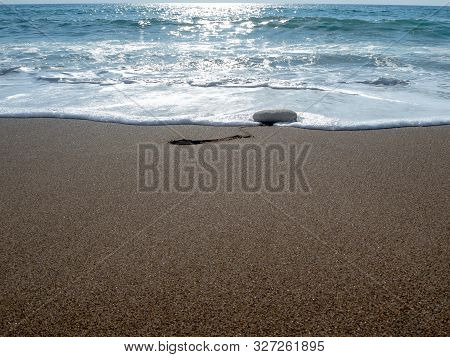 Signed Sea Green Turtle Nest On Lara Bay Turtle Beach , Akamas, Cyprus