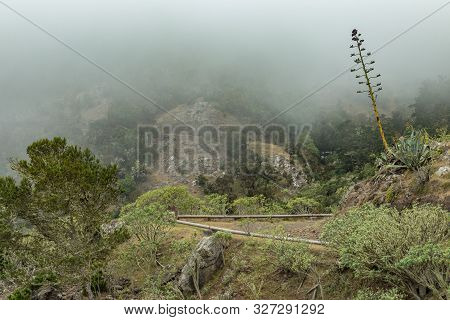 Parque Natural Majona. Northeastern Part Of La Gomera Island. Old Volcanic Mountains Covered By Gree