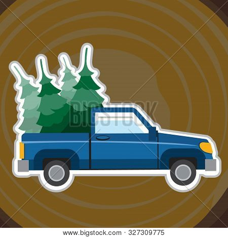 Pick-up Driven In The Trunk Of A Christmas Tree.