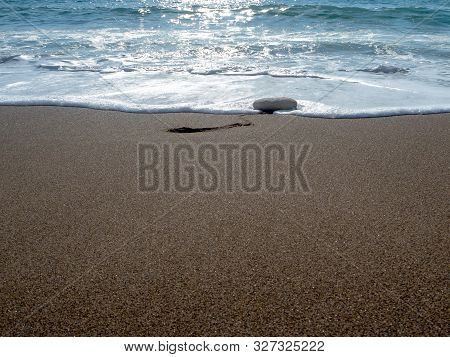 Signed Sea Green Turtle Nest On Lara Bay Turtle Beach , Akamas, Cyprus