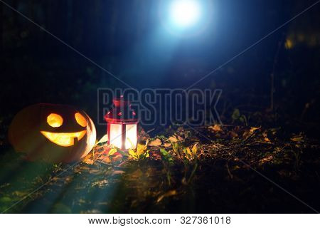 Pumpkin Lights With Candles On The Ground In A Park In The Light Of The Moon. Jack Olantern