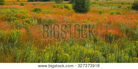 Late Summer Landscape In A Country. A Lot Of Different Color.