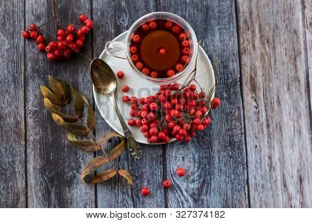 Hot Healing Tea, Mountain Ash Tea. Applied With A Lack Of Vitamins, Anemia, Metabolic Disorders. Red