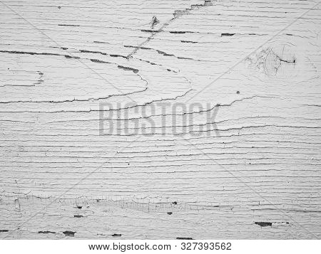 Aged, Wheatered White Paint On Pine Wood Board Close Up Shot For Background.