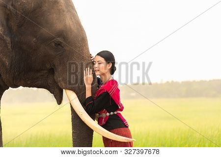 Young Women In Traditional Eastern Thailand Dress Touching And Lean On Elephant Trunk.
