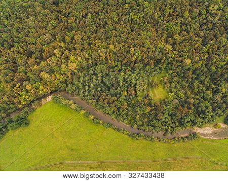 Summer Warm Sun Light Forest Aerial View.