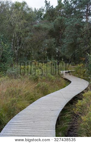Landscape With Kempen Forests In North Brabant, Netherlands In Autumn