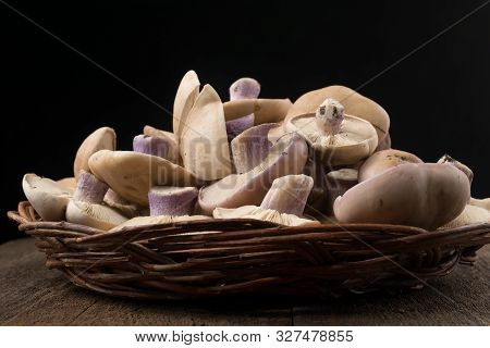 Lepista Saeva Mushrooms In A Wicker Dish On The Table Side View Close-up