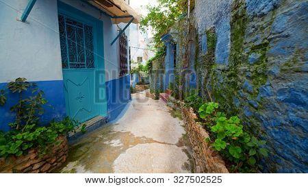 A Blue-walled Residential Street In A Poor But Clean Area With Green Plants That Grow Along The Wall