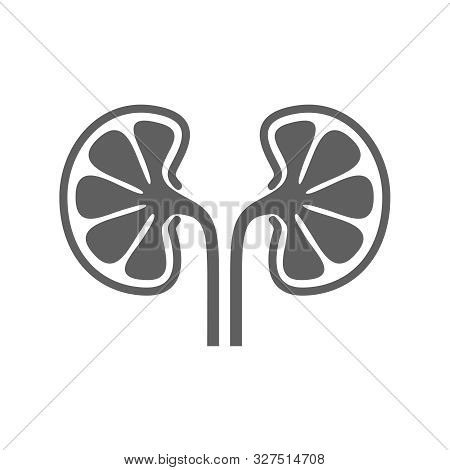 Kidneys Human Organ Icon. Sign Human Kidneys. Kidneys Symbol Isolated On White Background. Vector Il