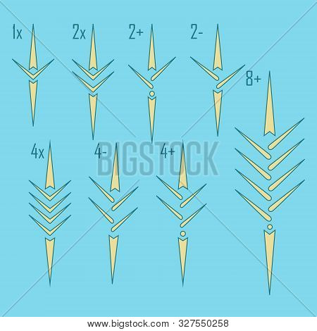 Rowing Boat Icon Set Isolated Whit Names