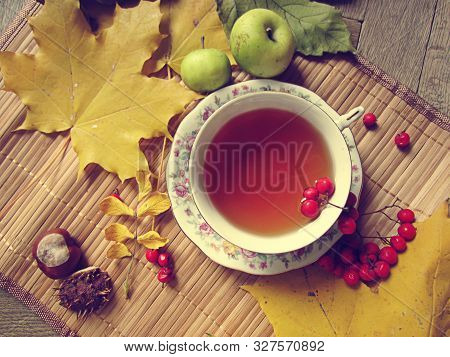 Autumn Tea. Cup Of Tea With Rowanberry And Autumn Leaves, Chestnut, Apples.