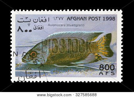 Cancelled Postage Stamp Printed By Afghanistan, That Shows Flavescent Peacock, Circa 1998.