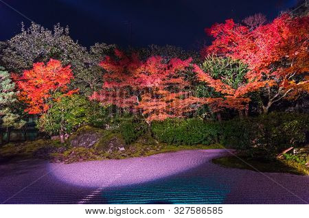Light Up At Night, Autumn Scenery Of Maple Trees By Majestic Traditional Japanese Architectures In .