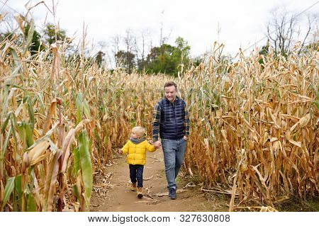 Little Boy And His Father Having Fun On Pumpkin Fair At Autumn. Family Walking Among The Dried Corn 