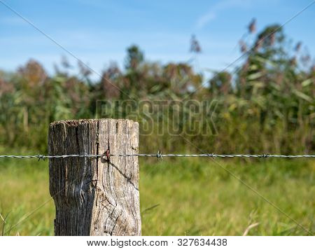 Old Wicker Fence Post, Wood Pile With Tensioned Barbed Wire.