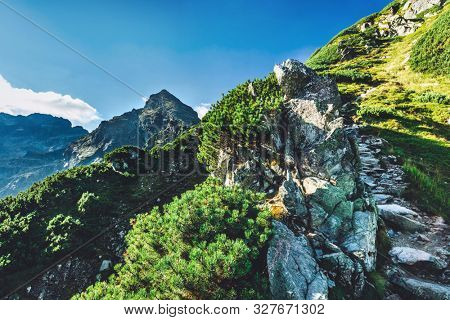 Hiking trail in Tatra mountains in Poland. Towards Koscielec peak