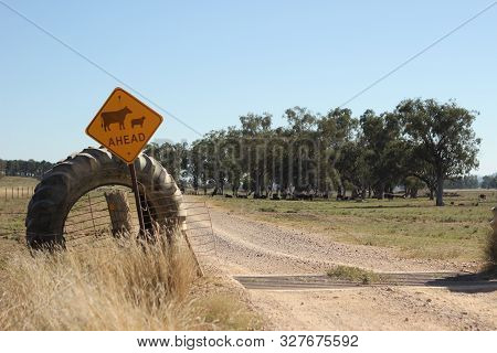 Farm Property Cattle Road Crossing Grid Across A Dry Drought Stricken Dusty Dirt Road In Rural New S