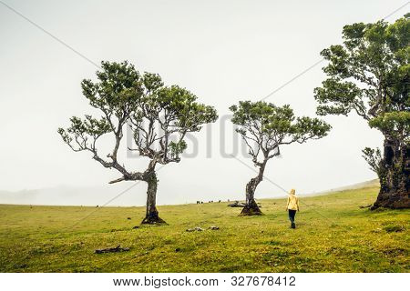 Traveller woman feeling the power of the nature at one ancient forest