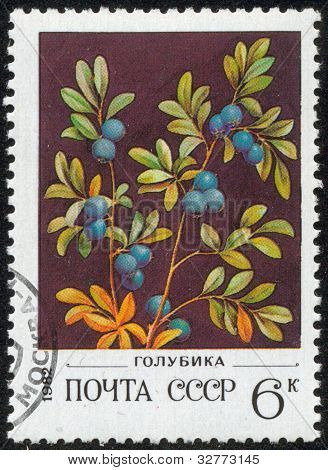 Stamp, Macro