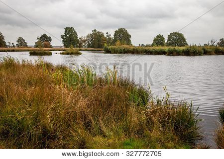 Beautiful Lake In The Middle Of Moorland At National Park Dwingelderveld, Province Drenthe The Nethe