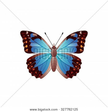 Butterfly Icon. 3d Realistic Morpho Azure Butterfly Insect With Beautiful Blue Wings. Animal Sign Fo