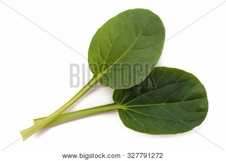 Tatsoi Leaves Isolated On A White Background