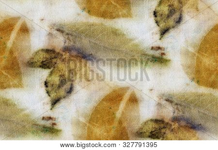 Seamless Botanical Print With Leaf Prints On Natural Silk. Hand-drawn Illustration.2