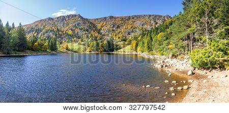 An image of a trout pond in Alsace