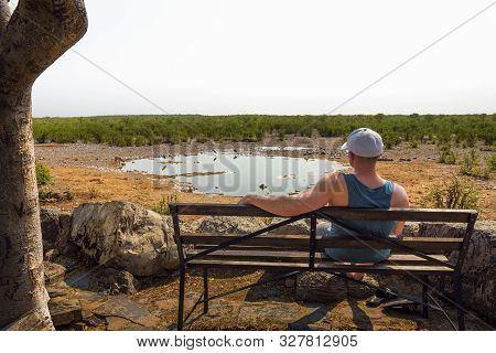 Tourist Waits For Wildlife Sitting On A Bench At The Moringa Waterhole Located Near Halali Campsite 