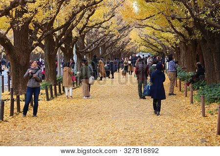 Tokyo, Japan - November 30, 2016: People Celebrate Ginkgo Avenue Autumn Foliage In Tokyo, Japan. Ich