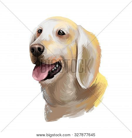 Billy Dog, Poitou Hound Dog Digital Art Illustration Isolated On White Background. French Origin Lar
