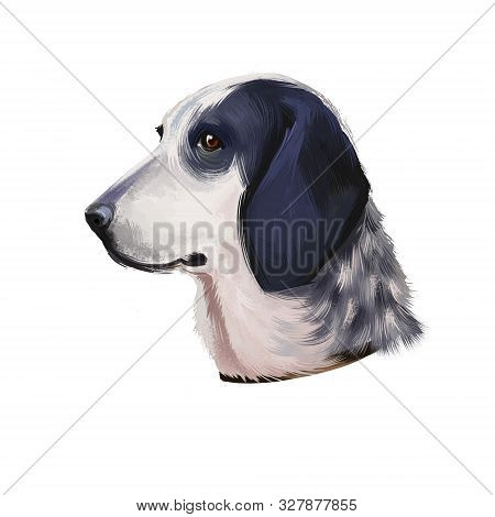 Grand Bleu De Gascogne Dog Digital Art Illustration Isolated On White Background. French Origin Scen