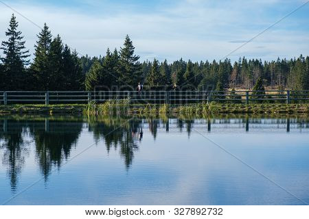 Tranquil Lake With Trees Reflected Symmetrically In The Clean Blue Water, Serene Landscape, Solitude
