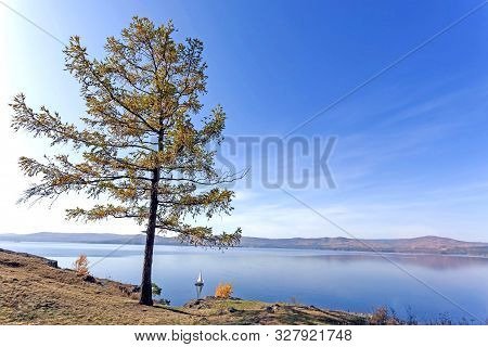 Lonely Larch Tree On The Rocky Shore Of Lake Turgoyak In The Southern Urals, The Lake Is Also Called