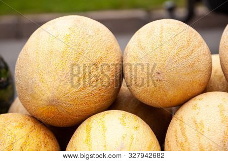 Fresh Yellow Melon. Many Melons In The Farmers Market. Honey Melon.