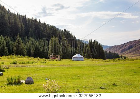 Summer Landscape In The Mountains. Tall Trees Of A Christmas Tree, The National Dwelling Is A Yurt. 