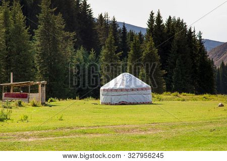 Summer Landscape In The Mountains. Tall Trees Of A Christmas Tree, The National Dwelling Is A Yurt. 