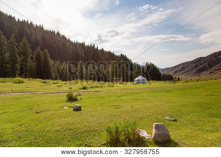 Summer Landscape In The Mountains. Tall Trees Of A Christmas Tree, The National Dwelling Is A Yurt. 