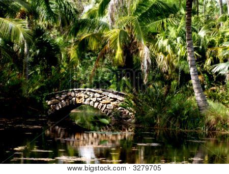 Botanisk have