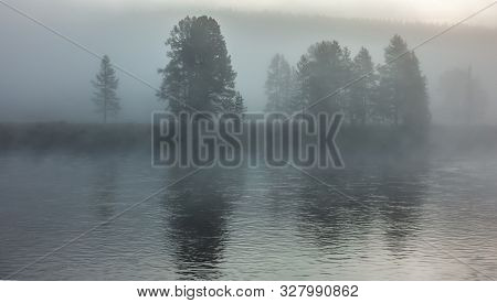 Morning Nature Scenes In Hayden Valley Yellostone Wyoming